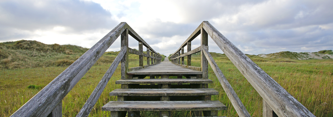 Photo of stairs leading up a sandy dune