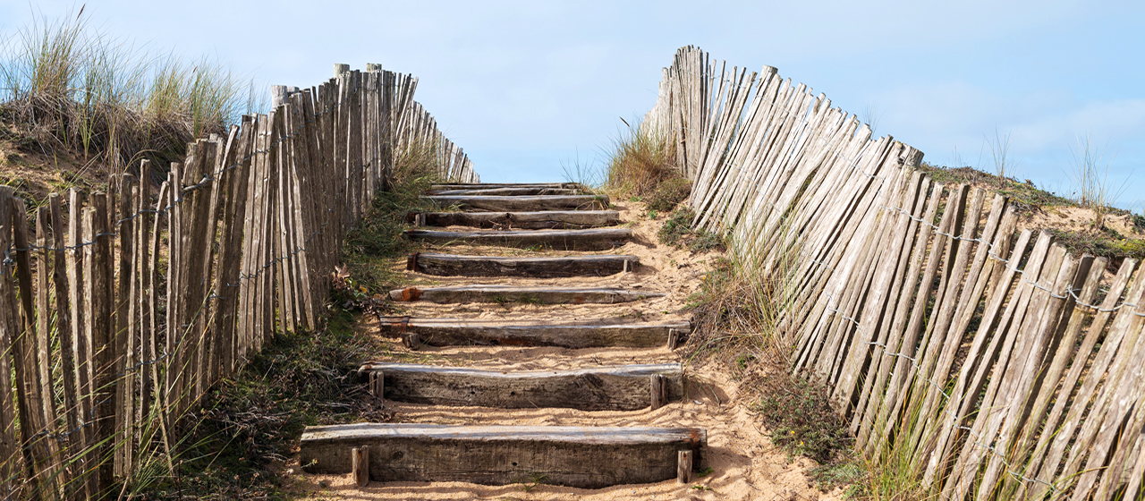 Photo of sandy dunes